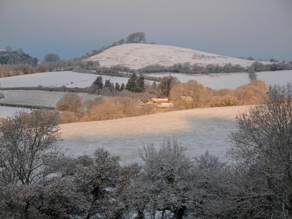 The Ollerod 3* Beaminster